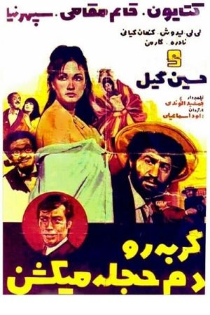 گربه را دم حجله می کشند's poster
