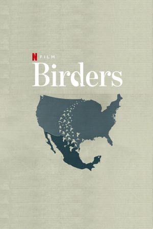 Birders's poster