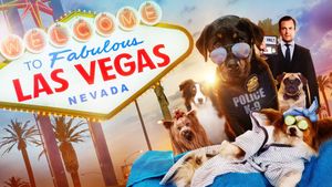 Show Dogs's poster