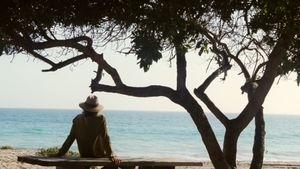Inherent Vice's poster