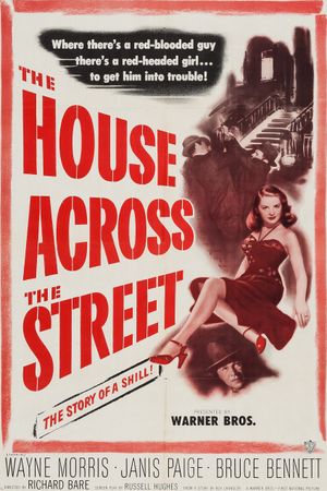 The House Across the Street's poster