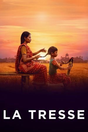 The Braid's poster