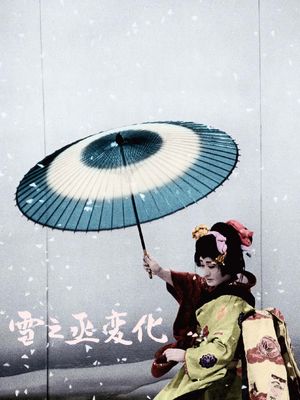 An Actor's Revenge's poster