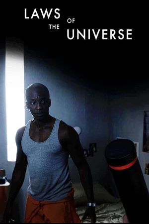 Laws of the Universe's poster