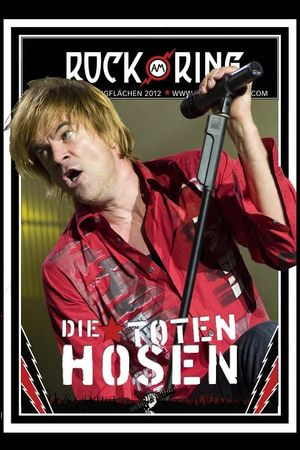 Die Toten Hosen - Rock am Ring's poster