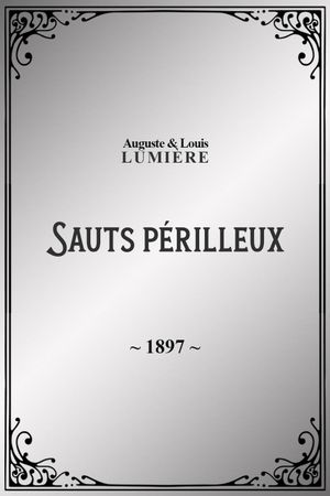 Sauts périlleux's poster