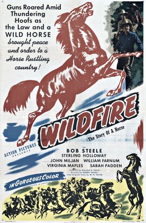 Wildfire's poster