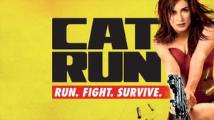 Cat Run's poster