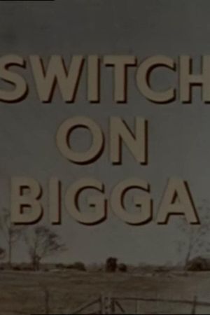 Switch on Bigga's poster