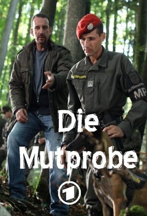 Die Mutprobe's poster