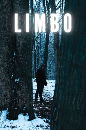 Limbo's poster