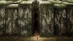 The Maze Runner's poster