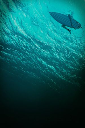The Shallows's poster