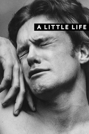 A Little Life's poster