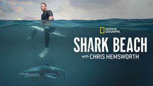 Shark Beach With Chris Hemsworth's poster