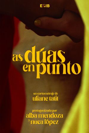 As Dúas en Punto's poster