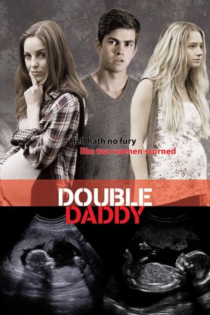 Double Daddy's poster