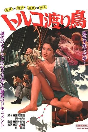 Sapporo, Yokohama, Nagoya, Ogoto, Hakata: Toruko wataridori's poster image