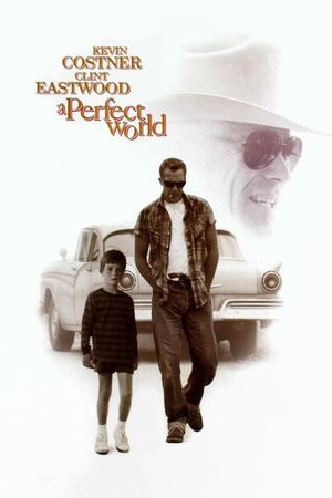 A Perfect World's poster