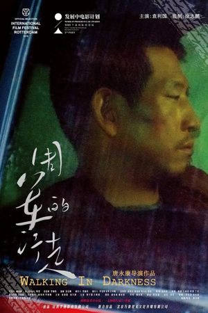 A Walker in Darkness's poster