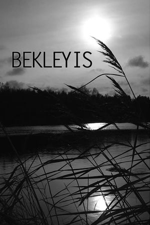 Bekleyis's poster