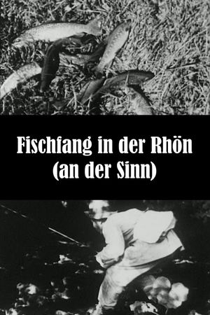 Fishing in the Rhön (at the Sinn)'s poster