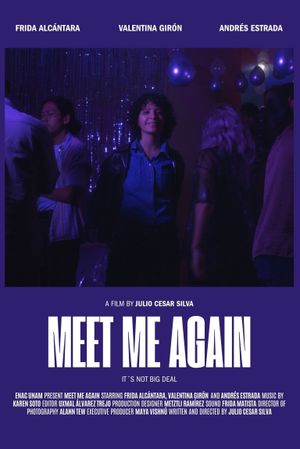 Meet Me Again's poster