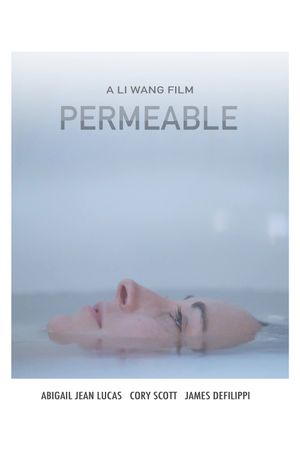 Permeable's poster image