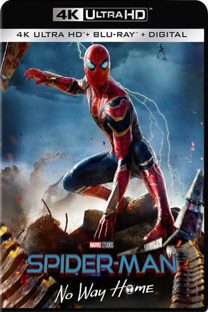 Spider-Man: No Way Home's poster