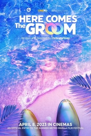 Here Comes the Groom's poster