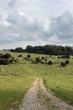 Journey to Avebury's poster