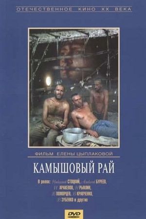Kamyshovyy ray's poster