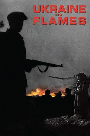 Ukraine in Flames's poster