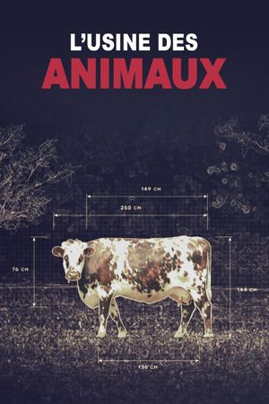 Production Line Animals's poster