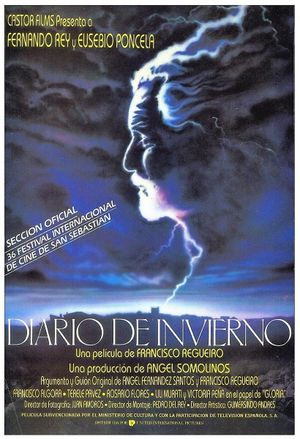 Diario de invierno's poster