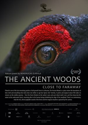 The Ancient Woods's poster