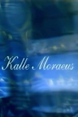 Spelman, musiker, artist - Kalle Moraeus's poster