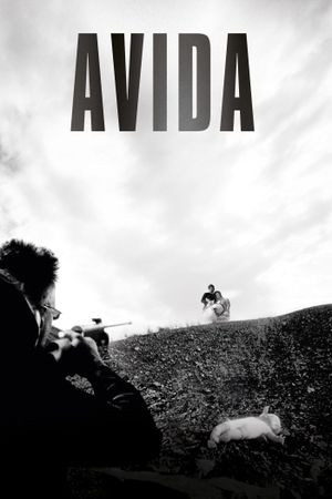 Avida's poster