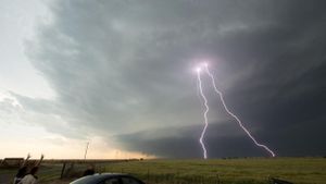 National Geographic: Inside the Mega Twister's poster