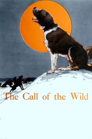 Call of the Wild's poster