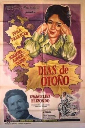 Días de otoño's poster
