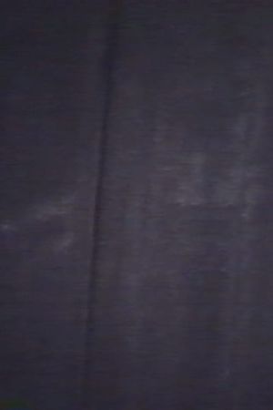 Fix's poster