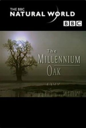 The Millennium Oak's poster