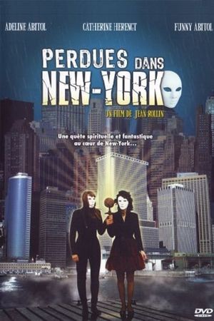 Lost in New York's poster