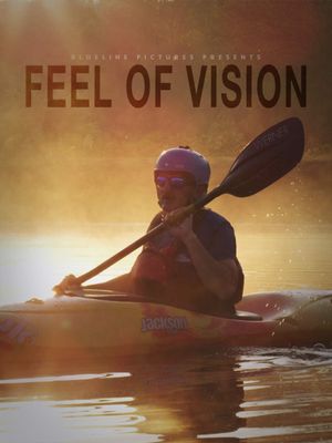 Feel of Vision's poster
