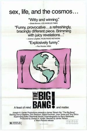The Big Bang's poster image