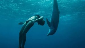 The Journey: Mother Ocean's poster