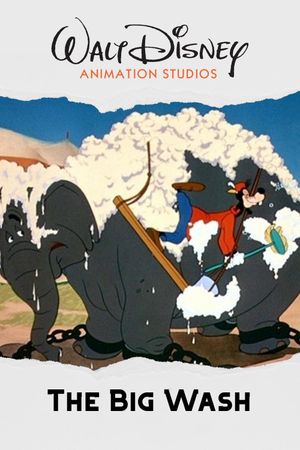 The Big Wash's poster