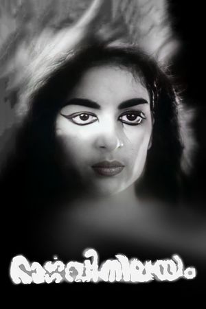 Bhargavi Nilayam's poster