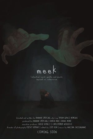 Meek's poster